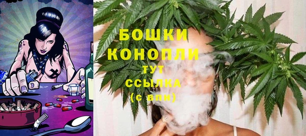 ECSTASY Дмитриев