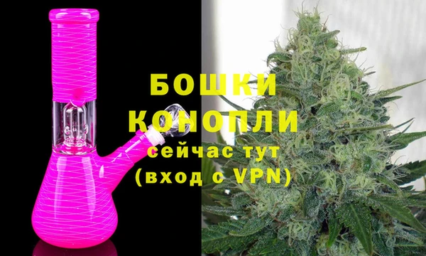 ECSTASY Дмитриев