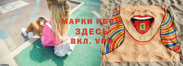 СК Дмитровск