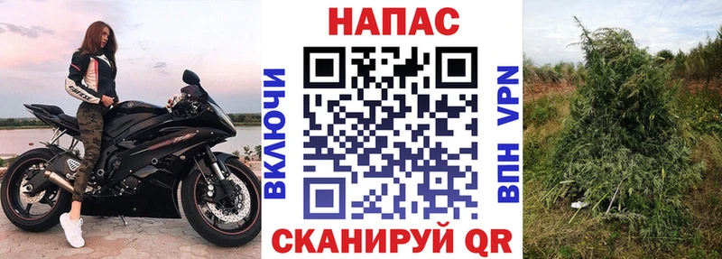 Конопля Amnesia  Купить где  Камышин 